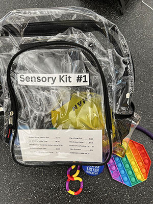 Sensory Kit library of things at the library