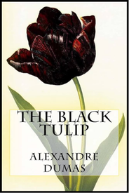 The Black Tulip book cover