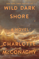 A stormy sea churned with brown water