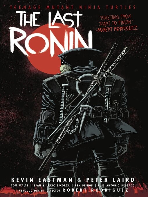 A black-clad Ninja Turtle with his back toward you facing a red sunset