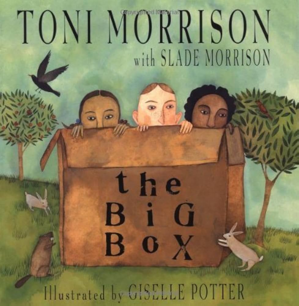 Book Cover for "The Big Box."