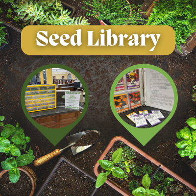Top view of a garden with plants. trowels, and inlays of seed packets