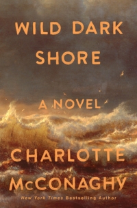 Book cover for Wild Dark Shore with turbulent ocean waves and sky