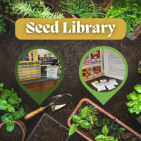 Top view of a garden with plants. trowels, and inlays of seed packets