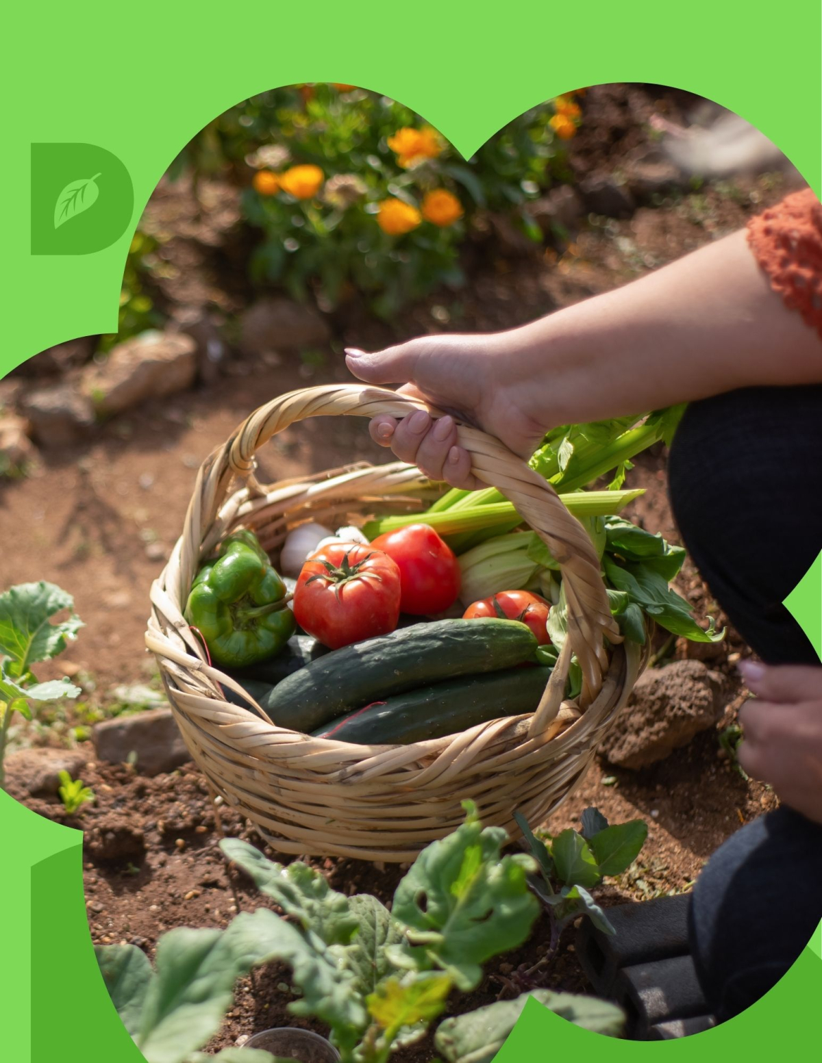 Gardening Workshop for Adults