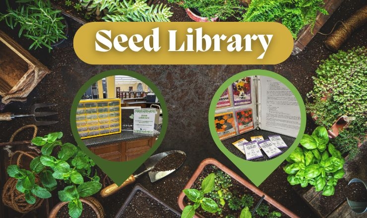 overview of plants in a garden, with images of seed packets